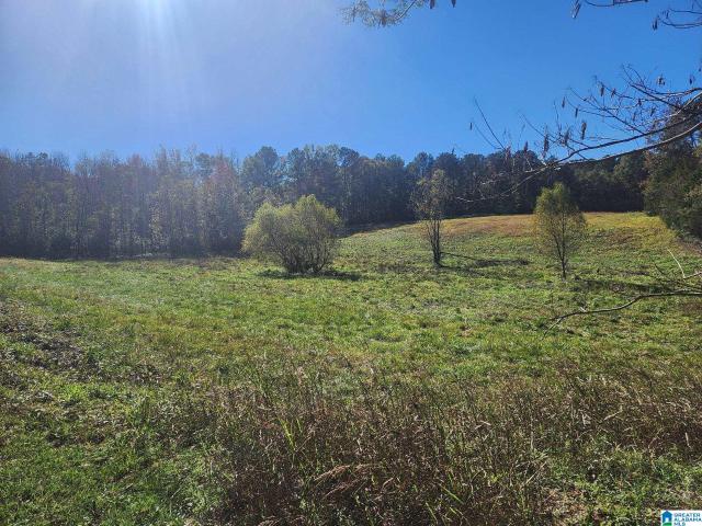 Land for sale in Columbiana, Alabama