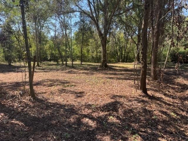 Land for sale in Worth, Georgia