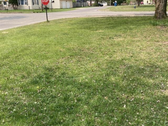 Land for sale in Evart, Osceola County