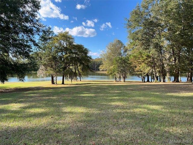 Land for sale in Cecil, Alabama