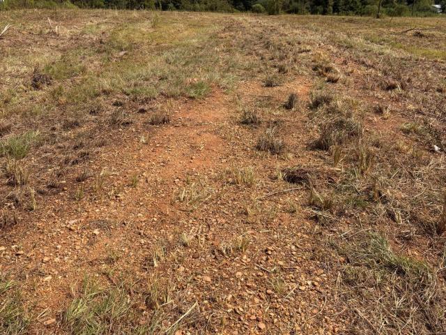 Land for sale in Wesson, Lincoln County