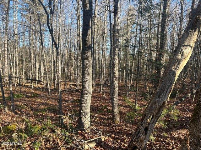 House for sale in Bakers Mills, New York
