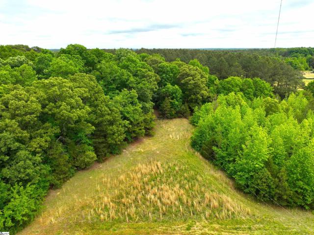 Land for sale in Donalds, South Carolina