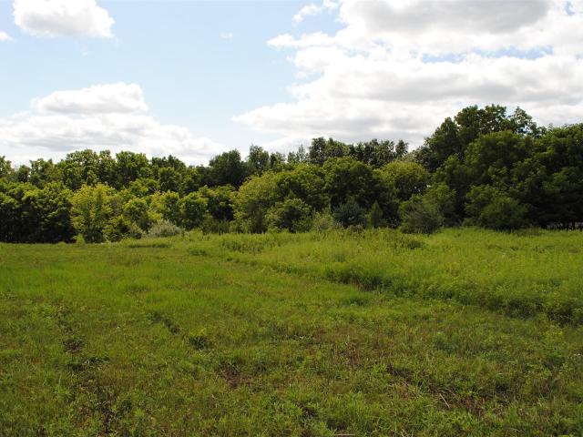 Land for sale in Michigan