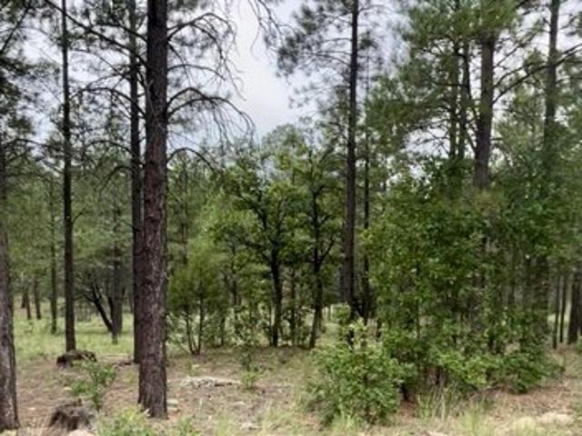 Land for sale in Happy Jack, Coconino County