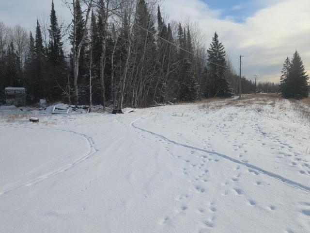 House for sale in International Falls, Minnesota