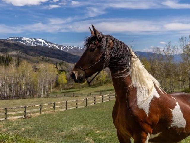 House for sale in Steamboat Springs, Colorado