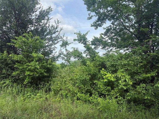 Land for sale in Lamar, Texas