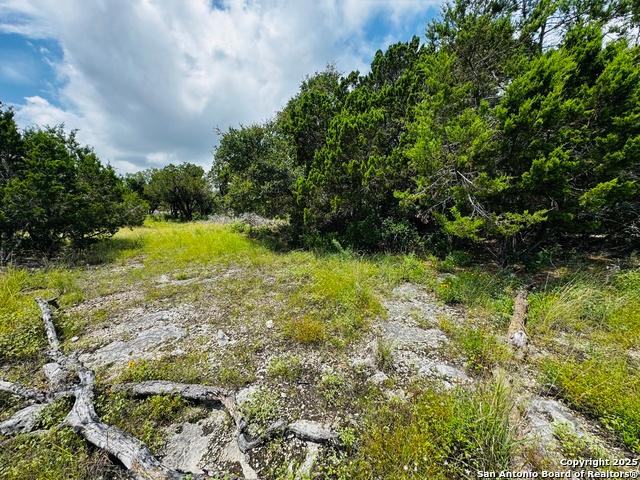 Land for sale in Mico