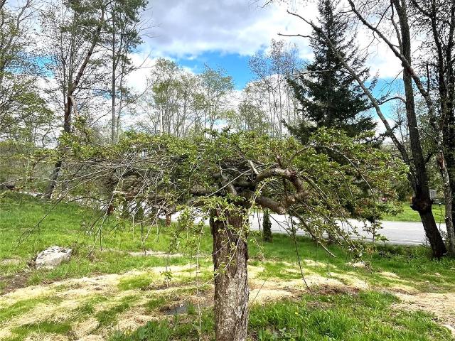 House for sale in Roscoe, New York