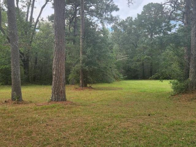 Land for sale in Dothan, Houston County