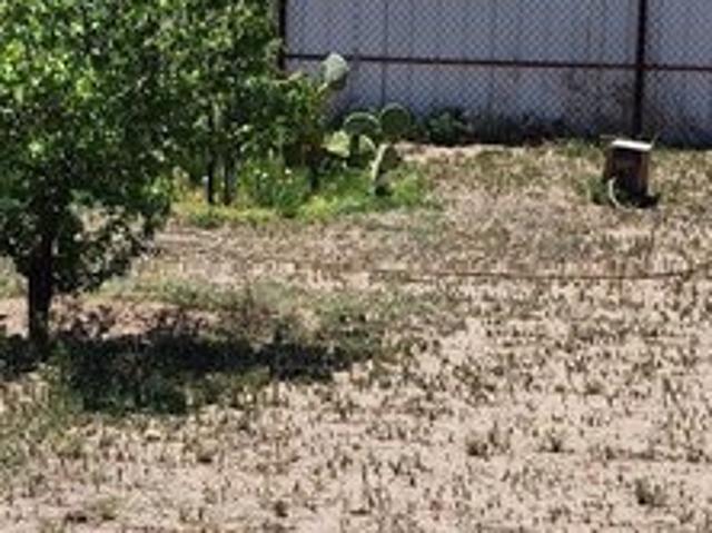 Land for sale in Roswell, New Mexico