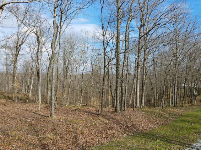 Land for sale in Tennessee