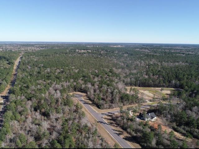 Land for sale in Walker, Texas