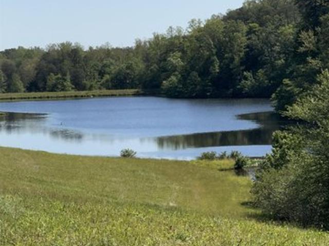 Land for sale in Virginia
