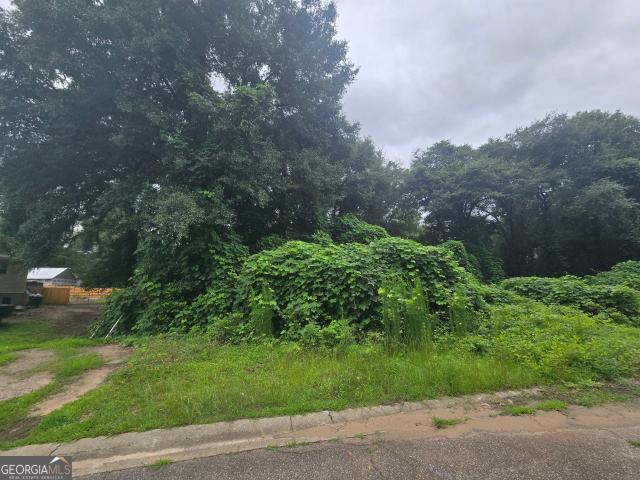Land for sale in Perry, Georgia