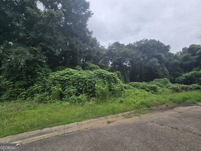 Land for sale in Perry, Georgia