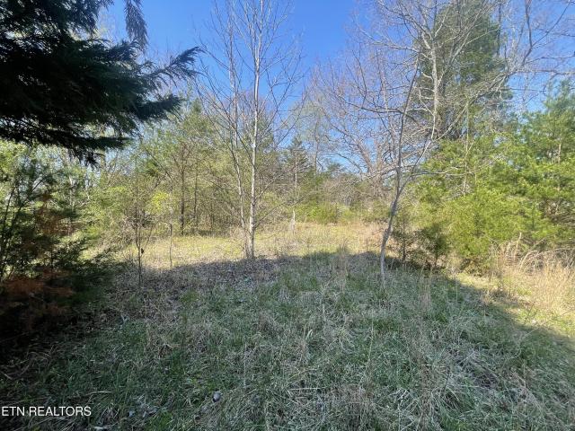 Land for sale in Tennessee