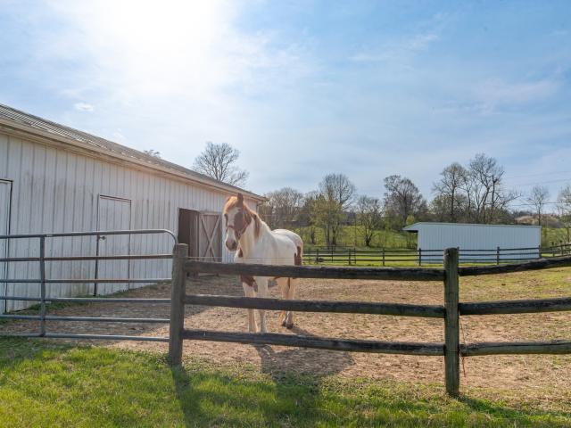 House for sale in New Town, Cornersville