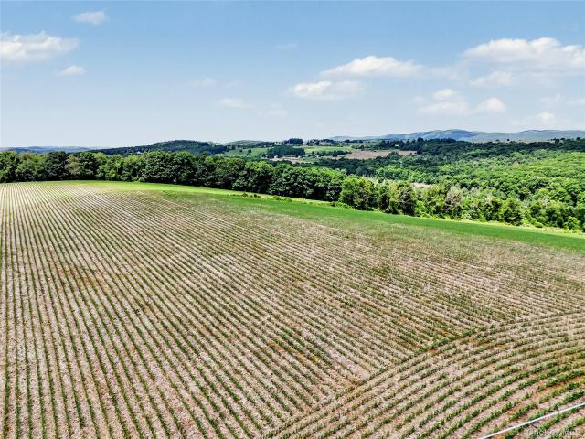 Land for sale in Pine Plains, New York