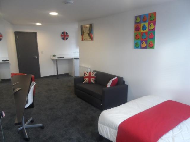 Studio for rent