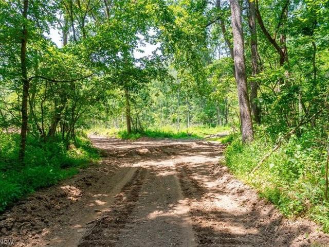 Land for sale in Danville, Ohio