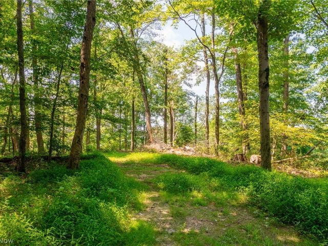 Land for sale in Danville, Ohio