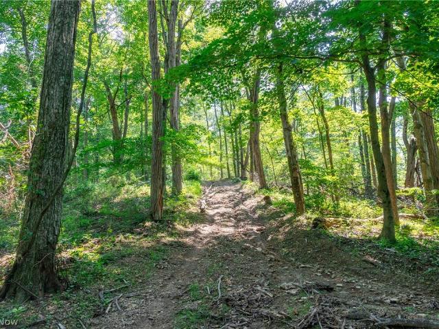 Land for sale in Danville, Ohio