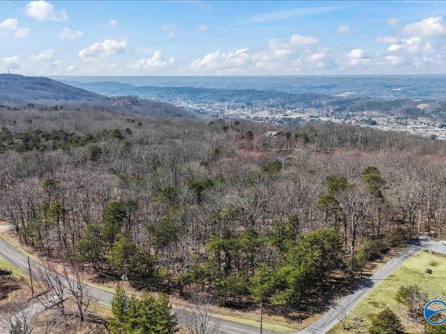 Land for sale in Flat Rock, Alabama