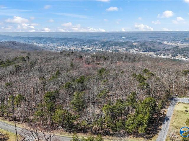 Land for sale in Flat Rock, Alabama