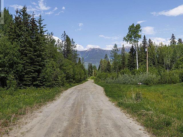 Land for sale in Dunster, British Columbia
