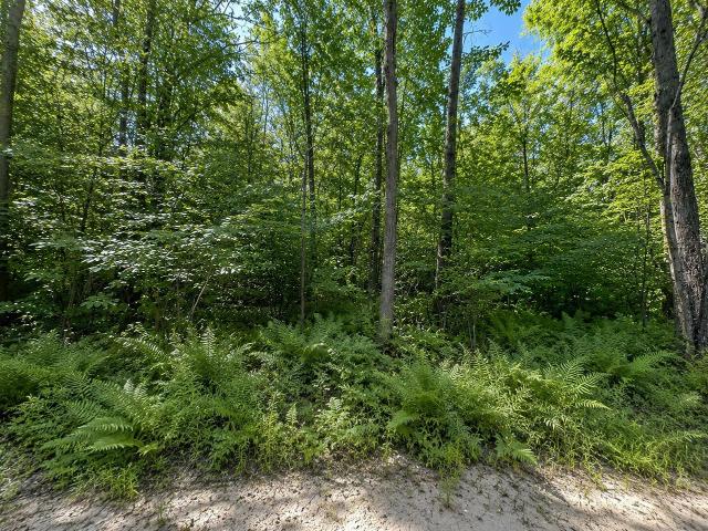 Land for sale in Michigan