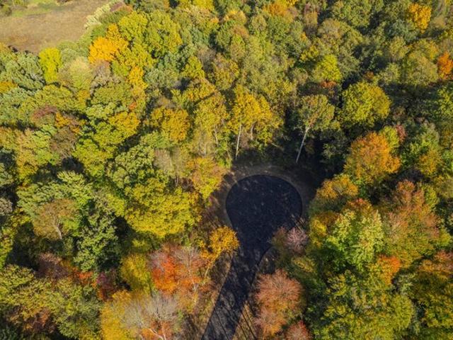Land for sale in Niles, Michigan