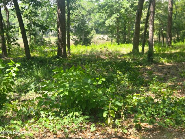 Land for sale in Bolivia, North Carolina
