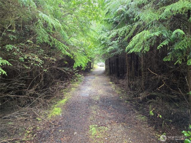 Land for sale in Pacific Beach, Washington