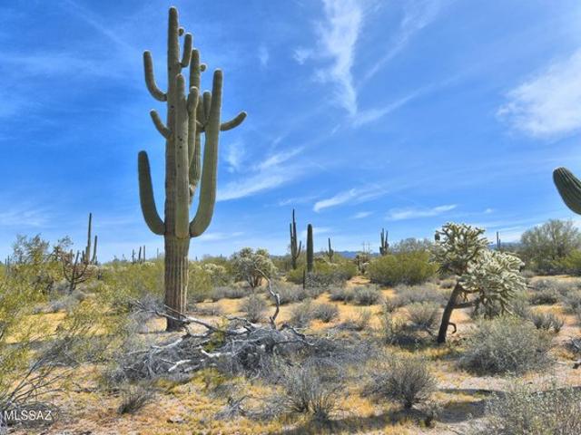 Land for sale in Marana, Pima County