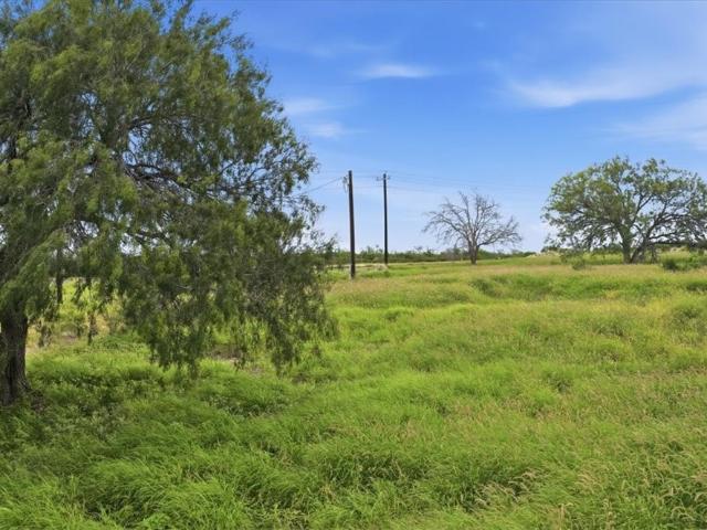 Land for sale in Three Rivers, Texas