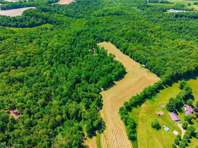 Farm for sale in Scio, Ohio