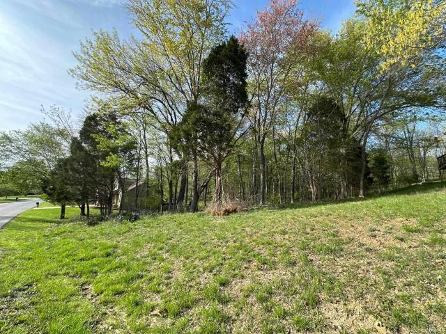 Land for sale in Spencer, Indiana
