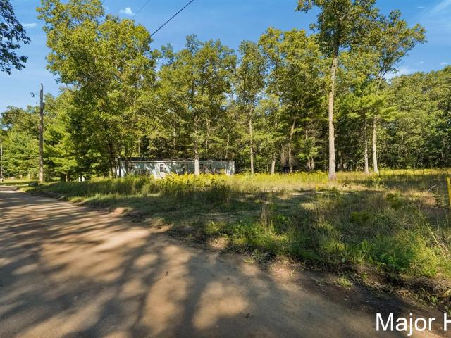 Land for sale in Michigan