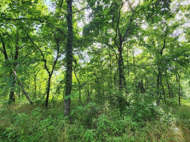 Land for sale in Taylorsville, Kentucky