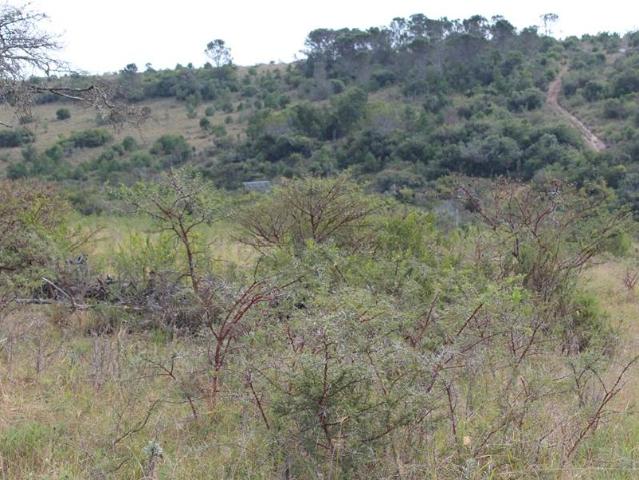 Farm for sale in Bushmans River Mouth, Eastern Cape