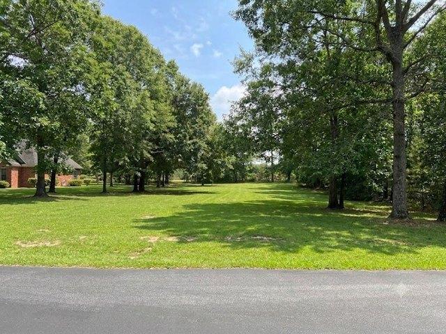 Land for sale in Manning, Clarendon County