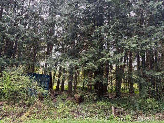 Land for sale in Point Roberts, Washington