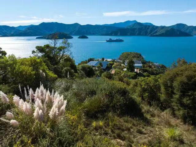 House for sale in Marlborough