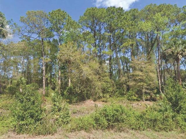 Land for sale in Florida