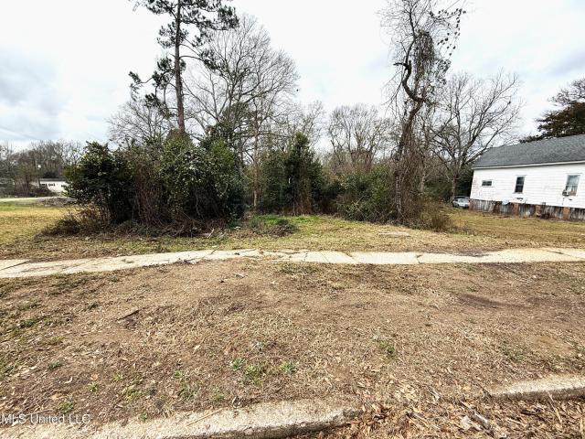 Land for sale in Mccomb, Mississippi