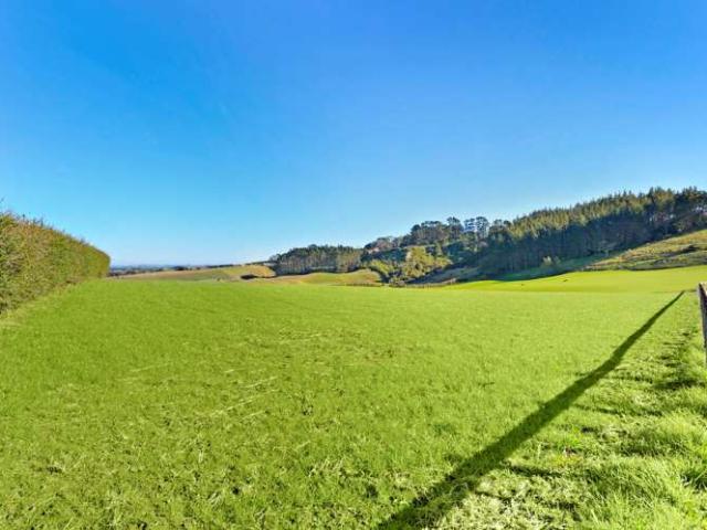 Property for sale in Pukekohe
