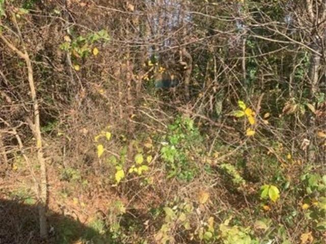 Land for sale in Virginia