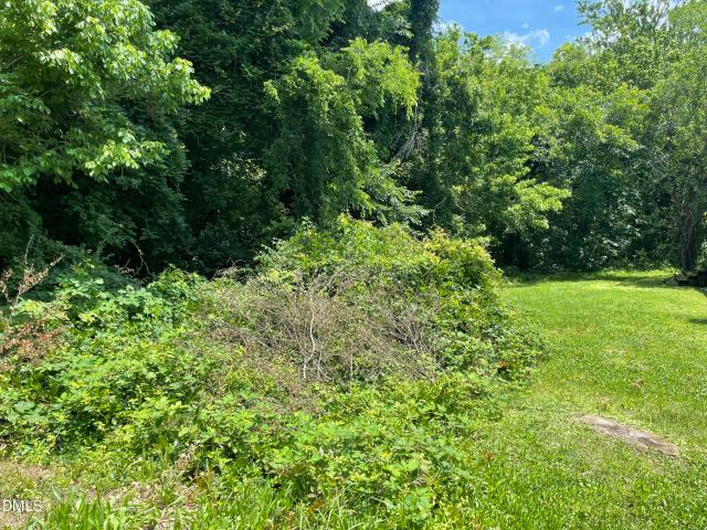 Land for sale in Roxboro, Person County